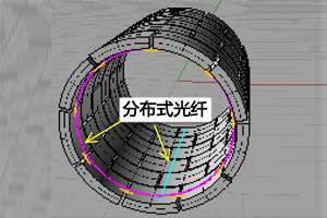 管廊結(jié)構健康與安全在線監(jiān)測系統(tǒng)（光纖微形變）